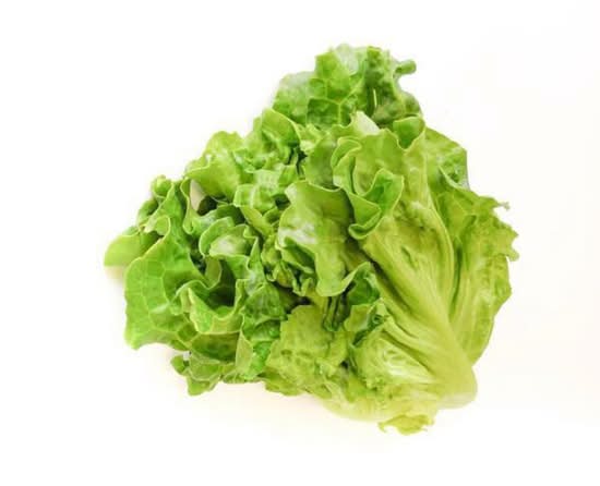 蔬菜 Vegetable